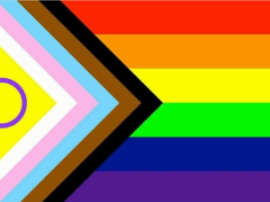 PRIDE FLAGS - 3ft x 2ft
