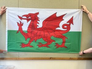 Digitally printed Welsh Red Dragon